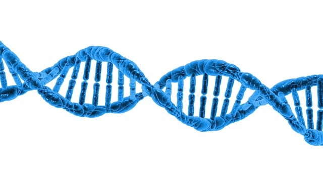 과학적 발견과 보존을 위한 비교 유전자 멀티툴